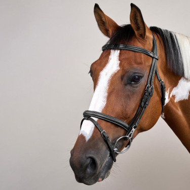 Combinatie Neusriem met Bakstukken en Musketons Working by Dy'on Zwart