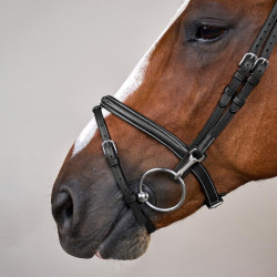 Combinatie Neusriem met Bakstukken en Musketons Working by Dy'on Zwart