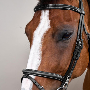 Combinatie Neusriem met Bakstukken en Musketons Working by Dy'on Zwart