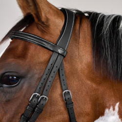 Combinatie Neusriem met Bakstukken en Musketons Working by Dy'on Zwart