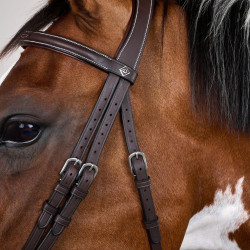 Combinatie Neusriem met Bakstukken en Musketons Working by Dy'on Bruin