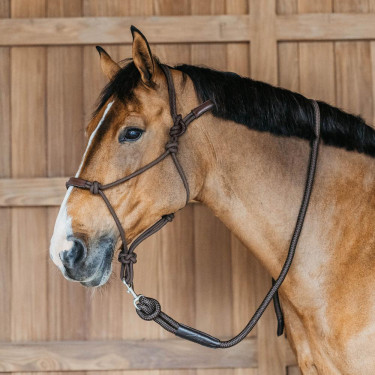 Ethologisch halster Dy'on Bruin