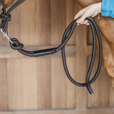 Longe Dy'on met musketon Bruin