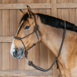 Longe Dy'on met musketon Bruin