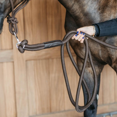 Dy'on trainingslijn met musketon Bruin