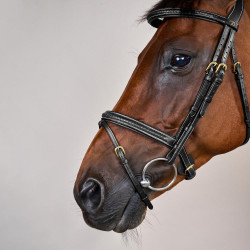 Bridon Dy'on D collectie gecombineerde gevlochten neusriem Zwart