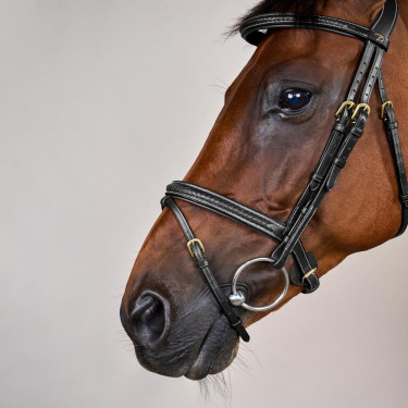 Bridon Dy'on D collectie gecombineerde gevlochten neusriem Zwart
