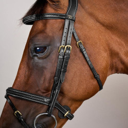 Bridon Dy'on D collectie gecombineerde gevlochten neusriem Zwart