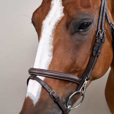 Bridon Working by Dy'on gecombineerde neusriem met karabijnhaken Bruin