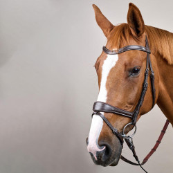 Bridon Working van Dy'on met bewegingsvrijheid Bruin