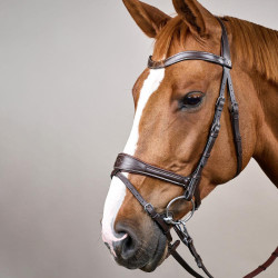 Bridon Working van Dy'on met bewegingsvrijheid Bruin