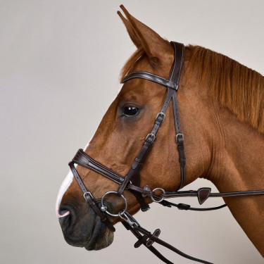 Bridon Working van Dy'on met bewegingsvrijheid Bruin