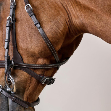 Bridon Working van Dy'on met bewegingsvrijheid Bruin