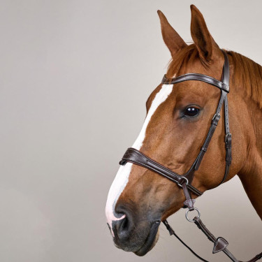 Bridon Working van Dy'on met bewegingsvrijheid Bruin