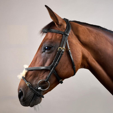 Gevlochten Mexicaanse Neusriem Hoofdstel D Collection Dy'on Zwart