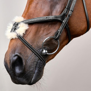 Gevlochten Mexicaanse Neusriem Hoofdstel D Collection Dy'on Zwart