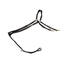 Brustblatt mit geflochtenem Steg D Kollektion Dy'on Zwart Brustblatt mit geflochtenem Steg D Kollektion Dy'on Zwart