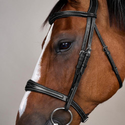 Anatomische Neusriem zonder Kinriem Collectie US Jumping Dy'on Zwart