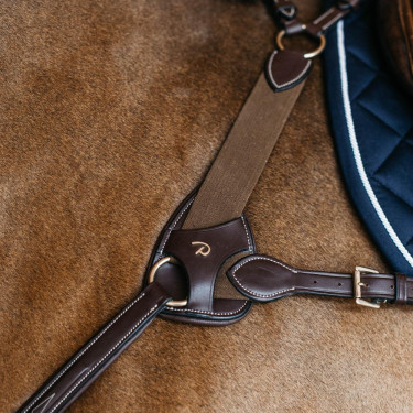 Bescherming voor 5-punts elastische borsttuig Dy'on Bruin