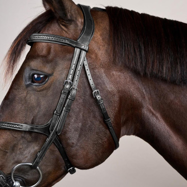 Gevlochten Lage Neusriem Hoofdstel New English Collection Dy'on Zwart