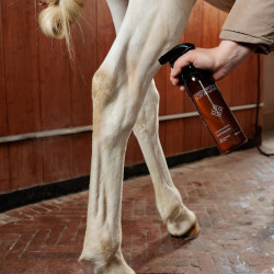 Vlekverwijderaar voor groene vlekken en stof Amandel Grooming Deluxe by Kentucky Vlekverwijderaar voor groene vlekken en stof Amandel Grooming Deluxe by Kentucky