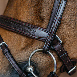 Gevlochten gecombineerde neusriem met Pull pack Dy'on New English Collection Bruin Gevlochten gecombineerde neusriem met Pull pack Dy'on New English Collection Bruin