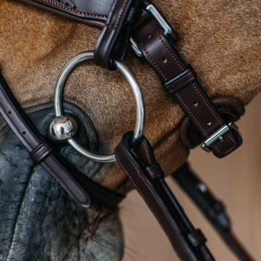 Gevlochten gecombineerde neusriem met Pull pack Dy'on New English Collection Bruin Gevlochten gecombineerde neusriem met Pull pack Dy'on New English Collection Bruin