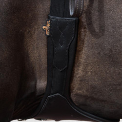 Anatomisch Buikriem Kentucky Zwart