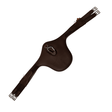 Anatomisch Buikriem Kentucky Bruin