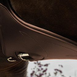 Anatomisch Buikriem Kentucky Bruin