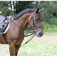 Driehoekige teugels Covalliero