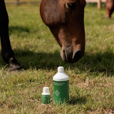 Vitamine- en Mineralen Vloeibare Booster Grooming Deluxe van Kentucky
