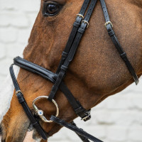 Dy'on hoofdstel met gecombineerde, middelhoge neusriem van soepel leer Zwart Dy'on hoofdstel met gecombineerde, middelhoge neusriem van soepel leer Zwart