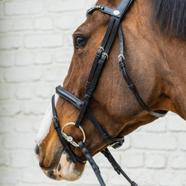 Dy'on hoofdstel met gecombineerde, middelhoge neusriem van soepel leer Zwart