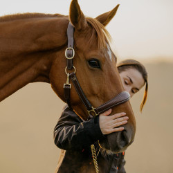 Lederen Halster D Collection by Dy'on Bruin Lederen Halster D Collection by Dy'on Bruin