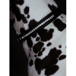 Hondenhalsband Equestrian Stockholm met strass Zwarte editie