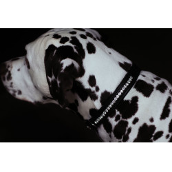 Hondenhalsband Equestrian Stockholm met strass Zwarte editie