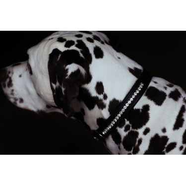 Hondenhalsband Equestrian Stockholm met strass Zwarte editie
