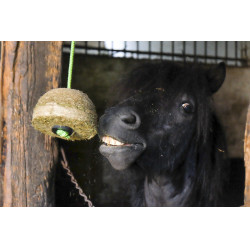 Hippo-Tonic Nature hooi blok Hippo-Tonic Nature hooi blok