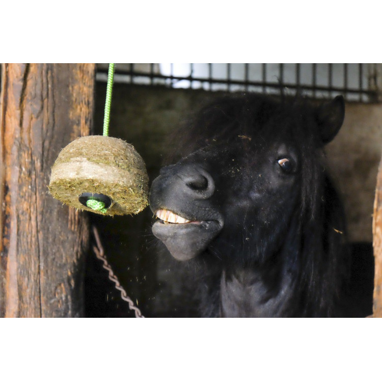 Hippo-Tonic Nature hooi blok Hippo-Tonic Nature hooi blok