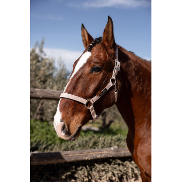 Halster Hardwick B Vertigo Sepia roze