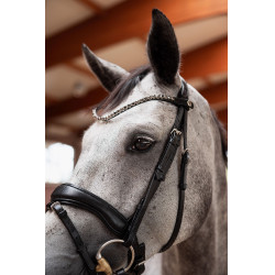 Slanke kopriem Horze Delémont Zwart kaviaar