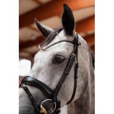 Slanke kopriem Horze Delémont Zwart kaviaar