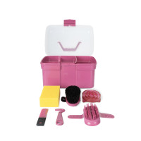 Doos en poetsborstels Horze kind Rood violet Bordeaux