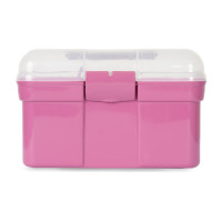 Doos en poetsborstels Horze kind Rood violet Bordeaux