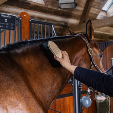 Klassieke lange zachte houten borstel Grooming Deluxe Zwart