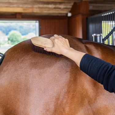 Harde borstel Wooden classic medium Grooming Deluxe Bruin