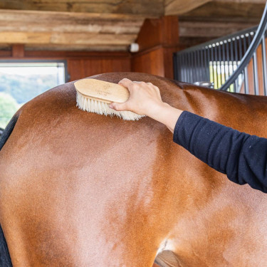 Harde borstel Wooden classic medium Grooming Deluxe Natuurlijk Bruin