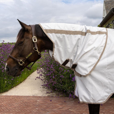 Anti-schurft- en zomerdeken Comfort Kentucky Wit