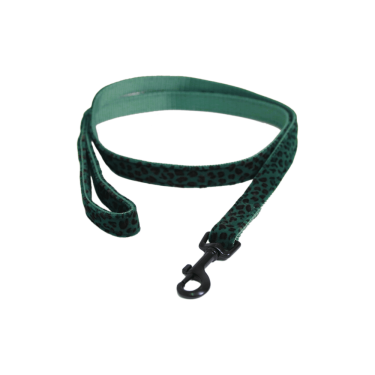 Kentucky Leoparden hondenriem Donkergroen Kentucky Leoparden hondenriem Donkergroen